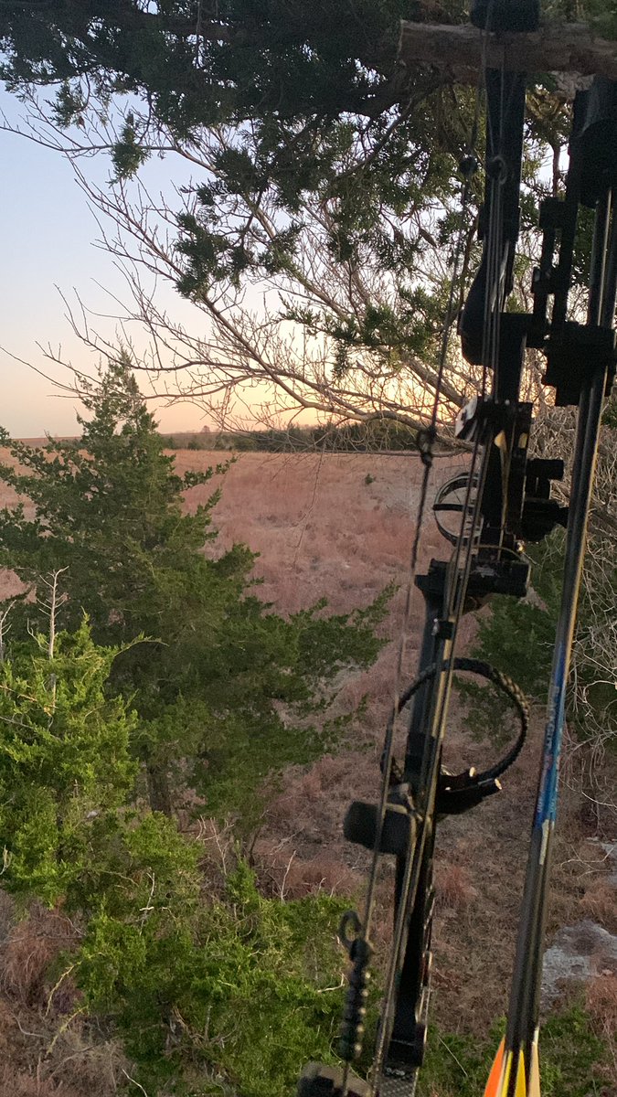 𝙿𝚒𝚜𝚝𝚘𝚕 𝙿𝚎𝚝𝚎𝚛 🤠🍊 tweet media