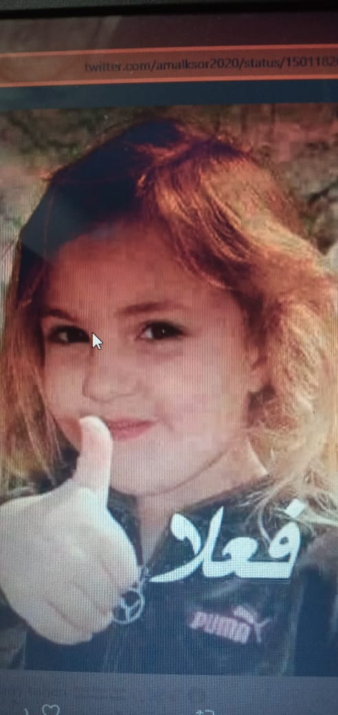 السلافيين اخوه لاخوان الشياطين خلوا بالكم دول بيضعوا السموم في العسل ومنتظرين لحظه يركبوا الموجه وتظر وساختهم علي حقيقتها