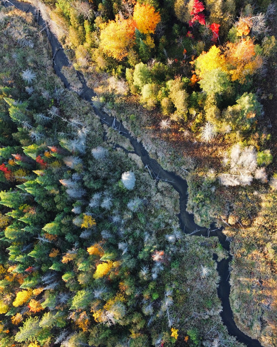 A river runs through it 
📍Ontario, Canada
#droneoftheday #dronecanada 
#dronelikeagirl #shotondji #djiphotography #djicreator 
#dronephotography #dronecommunity #ontariodronephotography