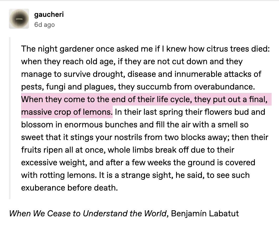 I am thinking today about the natural deaths of citrus trees, and how they let out a single massive bloom of fruit— 🍋🌳