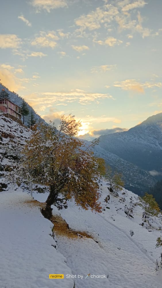aman_parihar19's tweet photo. Snowfall gives us the opportunity to slow down, be present and be aware . https://t.co/BIAhaBiizm
