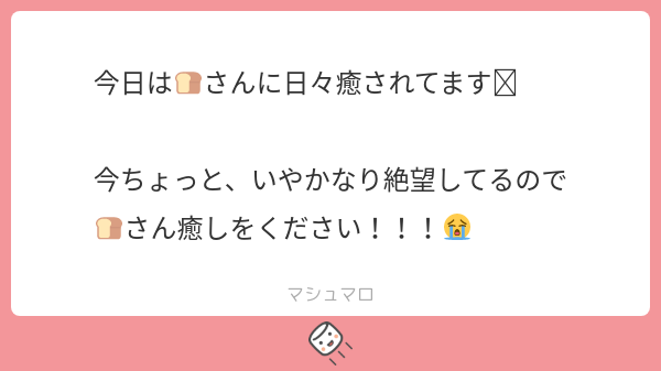 🐶🍞二人がかりでのゴリ押しハイパーヒーリングタイムでどうぞ癒されてください!!!!! 