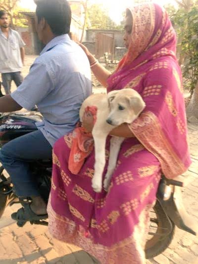 Everyone think they have the best #Dog. And none of them are wrong. #AdoptDontShop #PAKvENG #Kolkata