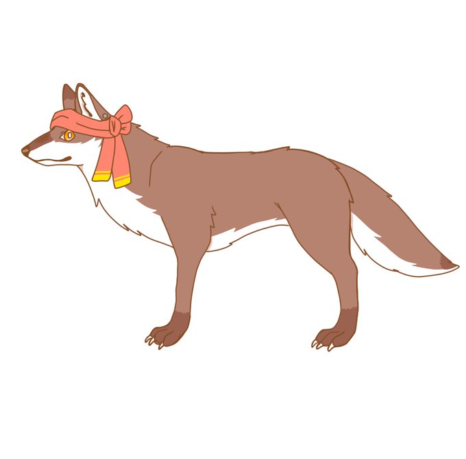 Bvagywvfa4fixm