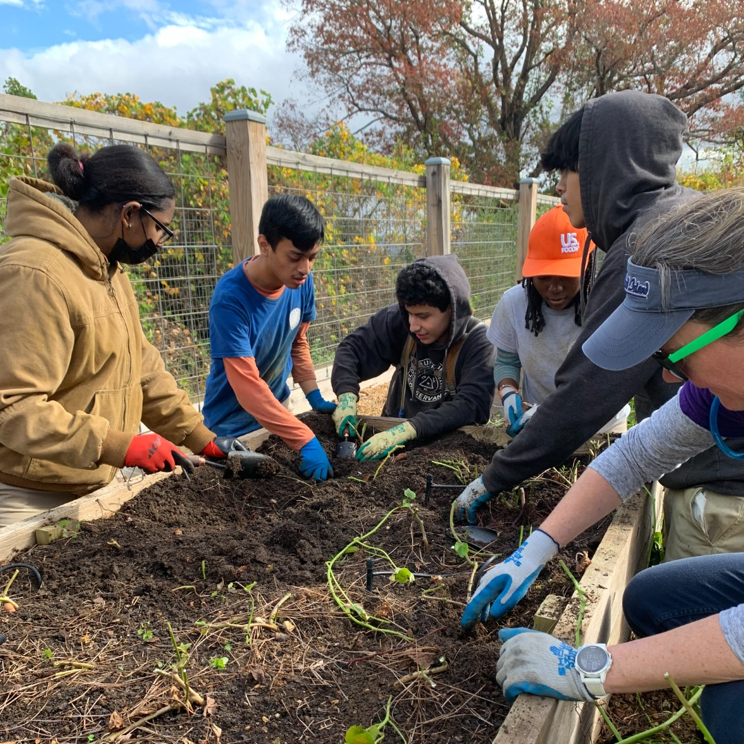 LMCChattanooga's tweet photo. Who likes sweet potatoes? Last week, the interns went sweet potato digging. Dozens are now curing in the greenhouse. They'll be ready just in time for Thanksgiving! Thank you for making such harvests possible! Your gifts expand LMC's impact! Give today: https://t.co/BJ8CuhVNvF https://t.co/DJPlO572U9
