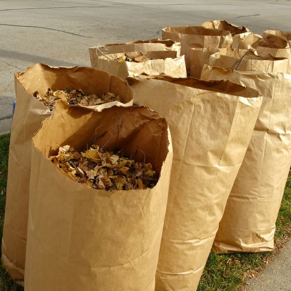 Reminder: Green Mountain Compost and Drop-Off Centers located in South Burlington and Essex have drop off for leaves this weekend - Saturday and Sunday 8am - 3:30pm. Please remember to tarp your load if you are bringing in loose leaves. ow.ly/No9k50LAt5S #fallinvermont