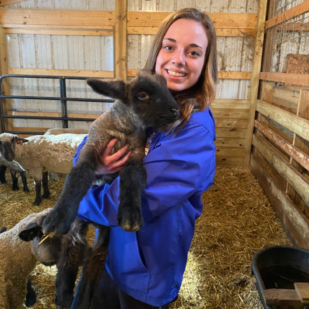 Tweet by Purdue Veterinary Medicine