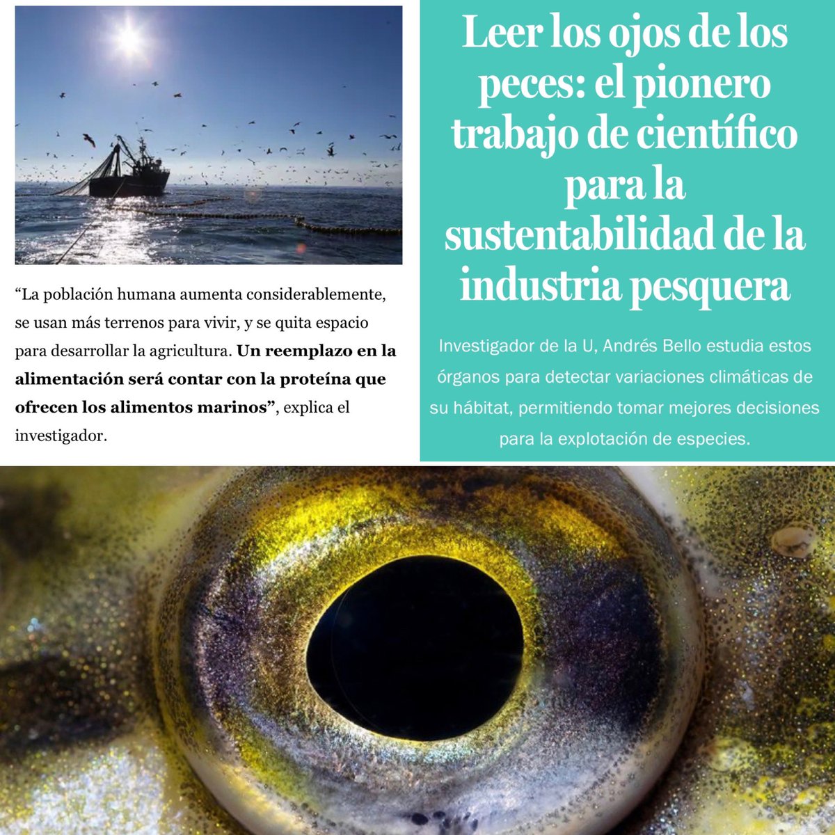 Centro de Investigación Marina Quintay - UNAB tweet media