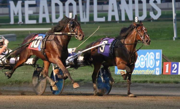 AmericaHipismo's tweet photo. 📢 Destacadas de #TheMeadowlands Harness 12/11 KINDERGARTEN SERIES - FINAL

🏇 #5 - $279,290
🏇 #8 - $268,180
🏇 #9 - $233,970
🏇 #10 - $238,810

Software Hípicas, solicite su demo aquí
👉 https://t.co/aBOsP5VEBX

#hipismo #software #hipicas https://t.co/lOuxIw0F0i
