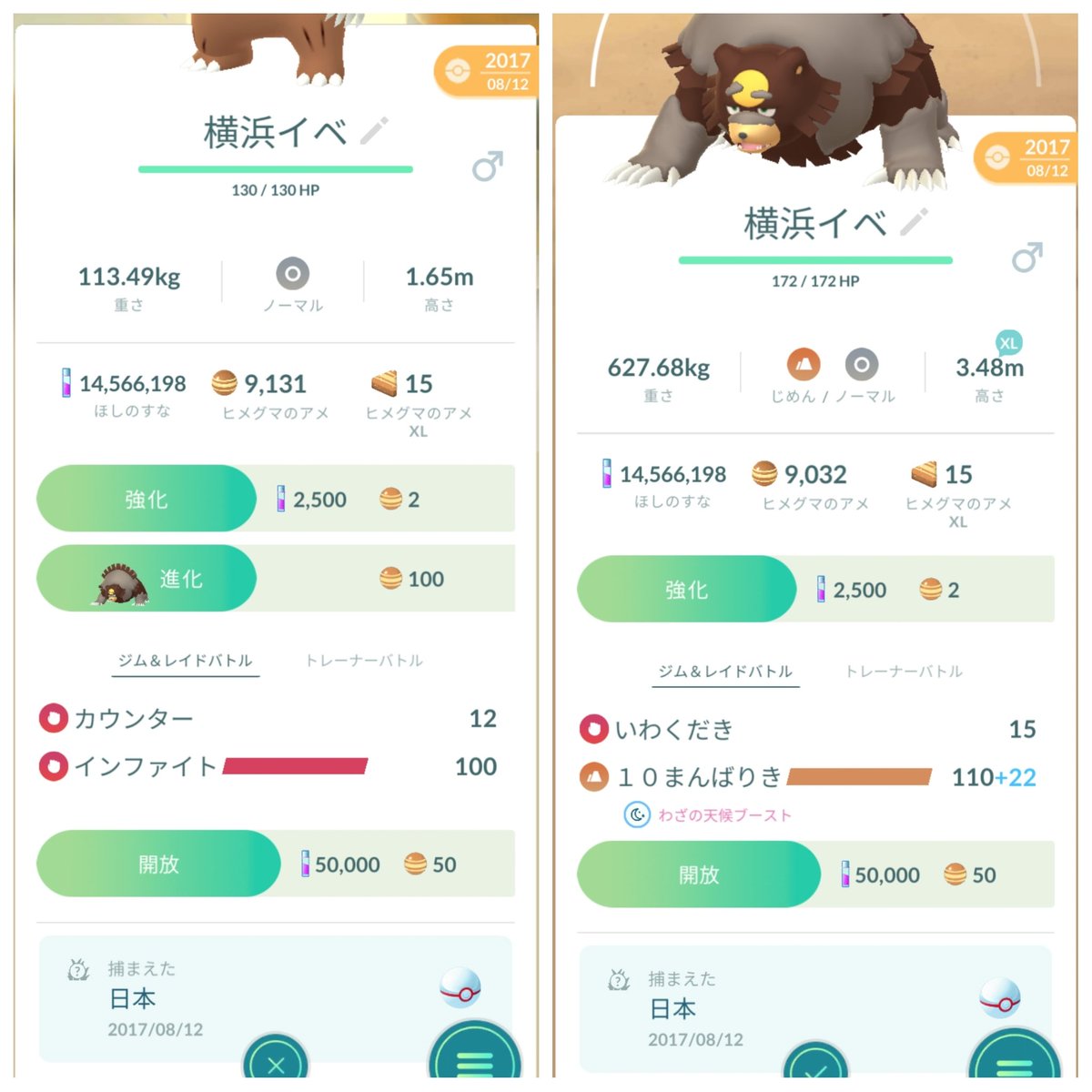 ポケモンgo リングマの入手方法 能力 技まとめ 攻略大百科