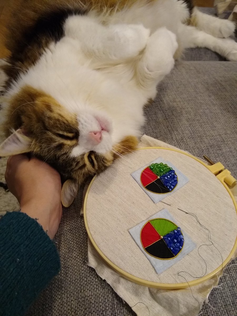 AmeTwins tweet media