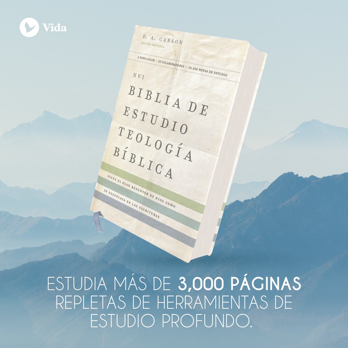 Editorial Vida tweet media