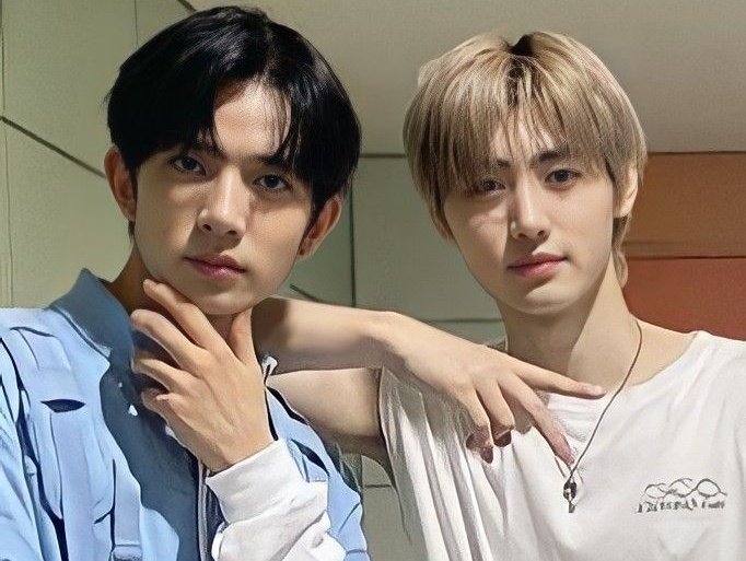ㅁㄷㅈ tweet media