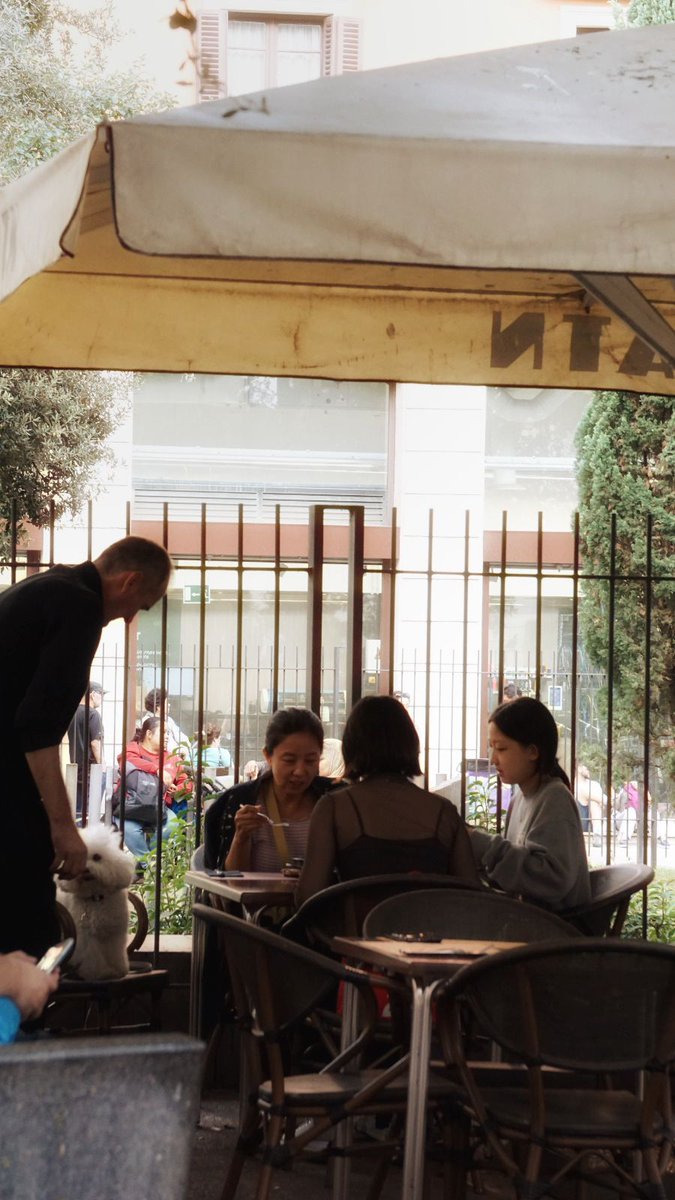 AtnFood's tweet photo. Contamos con una terraza pet friendly, amplia, con vista a la plaza. Puedes venir con tu amigo peludo y podrá disfrutar de este espacio tanto como tú🐶. Bienvenid@s! https://t.co/KznSCt8zuO