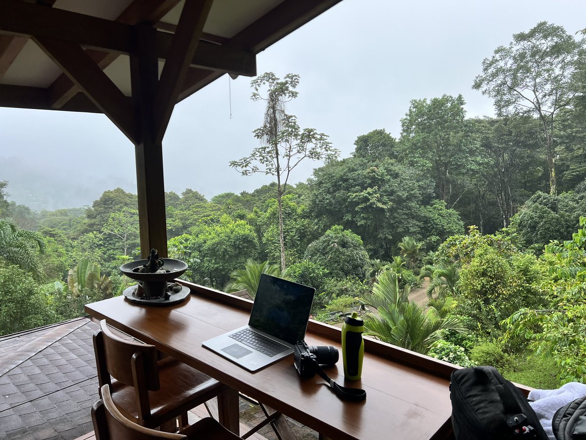 BenGWeeks's tweet photo. Catching up with some quotations at the #Bitcoin retreat https://t.co/W14cPdly1a in Costa Rica. @BitcoinJungleCR https://t.co/py0xJTAsCE