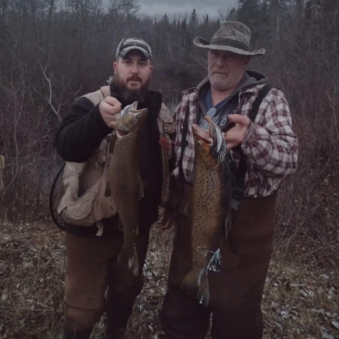 jgbassin's tweet image. Took a break last night from bow hunting and went fishing with the dad. Had a great evening on the river. Both fish were over 5lb.