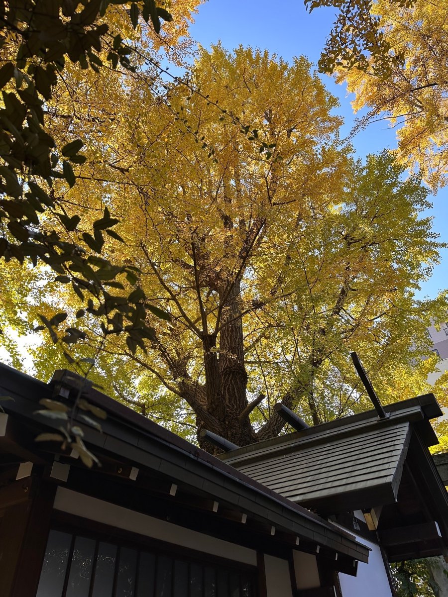 Jeffrey Bergier tweet media