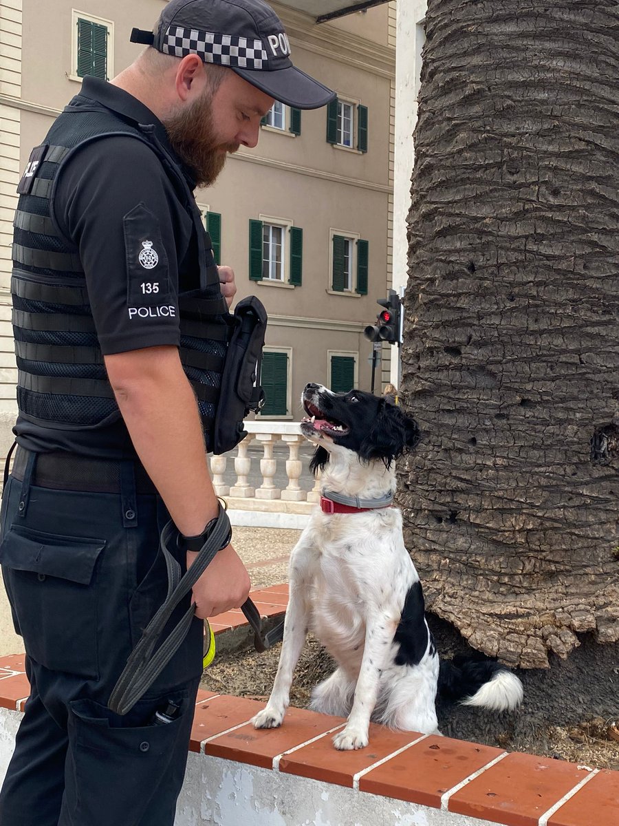 Royal Gibraltar Police tweet media