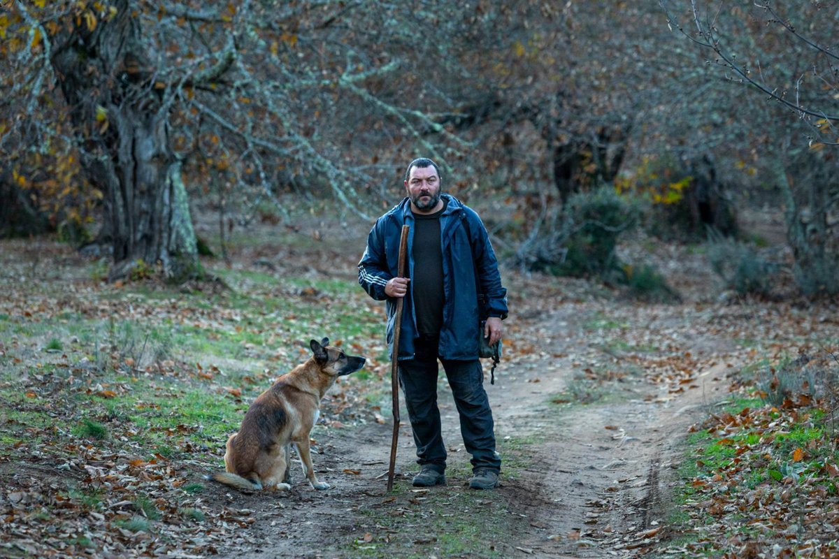 A las 20:30h, ESTRENO de la crítica de esa cosa maravillosa que es 'AS BESTAS' de Sorogoyen. Link:
youtube.com/watch?v=ZgOlBk…
Un thriller rural opresivo y con una dirección maestra. Darle amor.
#asbestas #rodrigosorogoyen 
¡Vaya año de cine español! 
Cuantas joyas estamos viviendo.