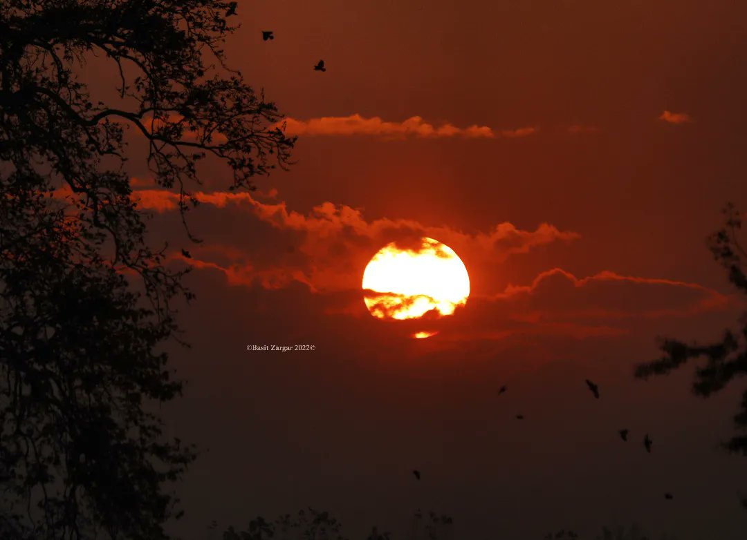 basiitzargar's tweet photo. Autumn Sunset https://t.co/vCyMhV4DL9