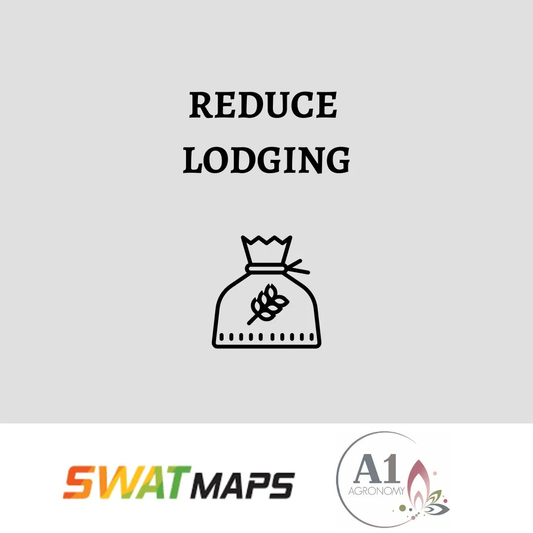 a1agronomy's tweet photo. One benefit of using #SWATMAPS for variable rate systems is that you'll be able to reduce lodging.
Address your specific nutrient balances in each zone to achieve targeted plant stands with VR seeding. Only use plant growth regulators in your high-risk zones.
#VRmapping https://t.co/CTyxhCHoYW