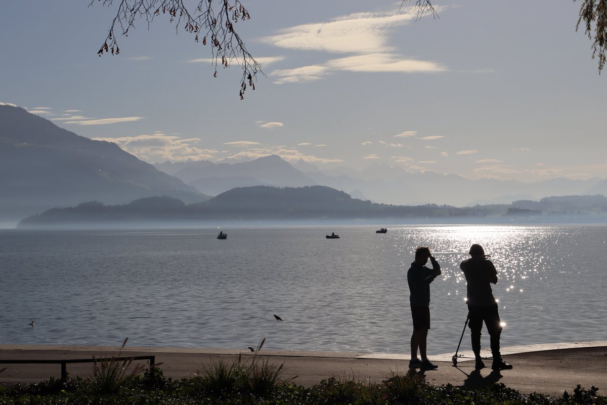 Bob Sugden tweet media