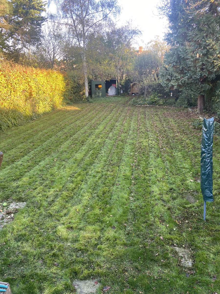 AndyFitzG's tweet photo. Half-time grass cut #irefij https://t.co/rul85yPgw8