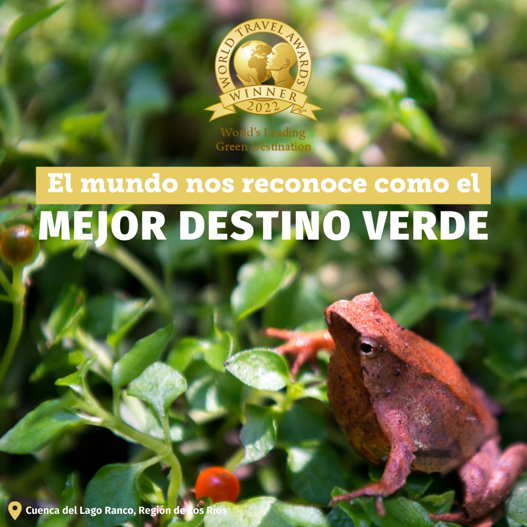 𝗖𝗵𝗶𝗹𝗲: 𝗺𝗲𝗷𝗼𝗿 𝗱𝗲𝘀𝘁𝗶𝗻𝗼 𝘀𝘂𝘀𝘁𝗲𝗻𝘁𝗮𝗯𝗹𝗲 🏆

🤩 Estamos felices de ganar un nuevo Óscar del Turismo como Mejor Destino Verde del 🌎 2022.

Éste se suma a otros reconocimientos, como Mejor Destino, Mejor Destino Romántico y de Turismo Aventura de Sudamérica 👏.