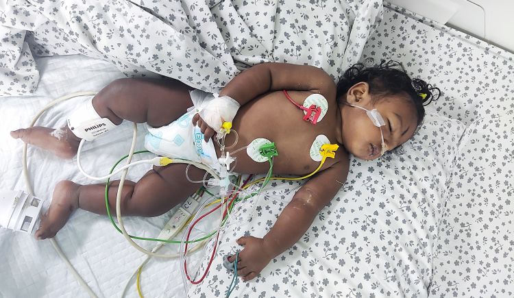 Vishal_Botla's tweet photo. Hi KTR anna,My friend's 8 months baby diagnosed with congenital heart disease,the child has complete heart blockage. Now baby is on ventilator bcz of respiratory distress.he needs immediate surgery,it costs Rs.7,60,000. pls help and save the baby @KTRTRS @KTRoffice @MinisterKTR https://t.co/POS93x5jo3