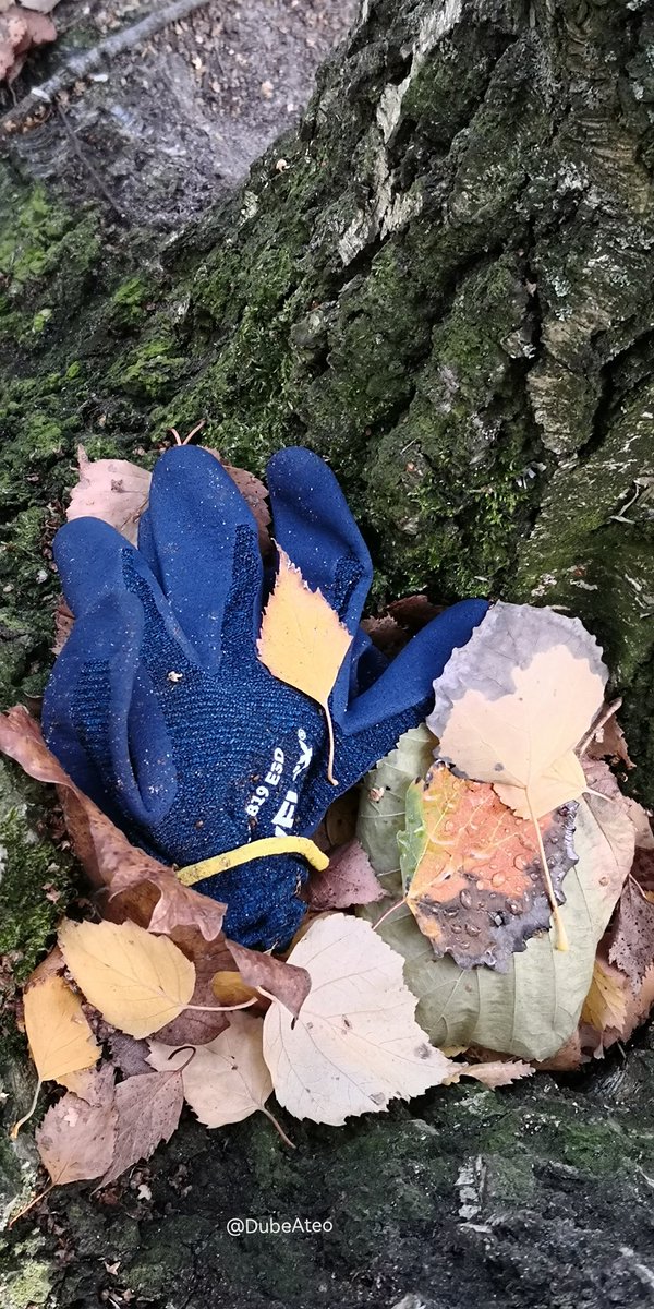 DubeAteo's tweet photo. #lostgloves 🧤 #BerlinGloves https://t.co/SArEQApV4D