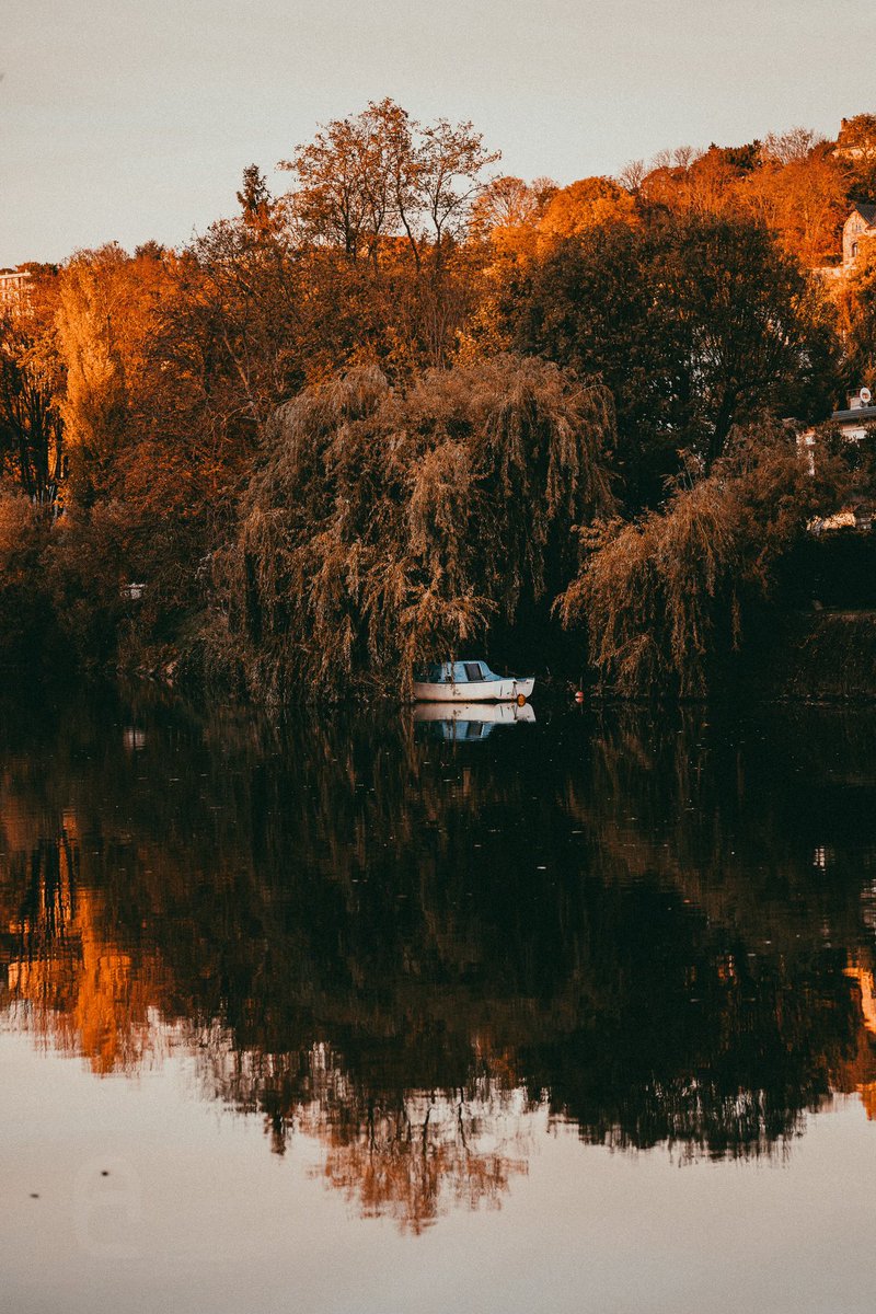 🍁Promenade en bords de Marne 
📷 Sony A7C