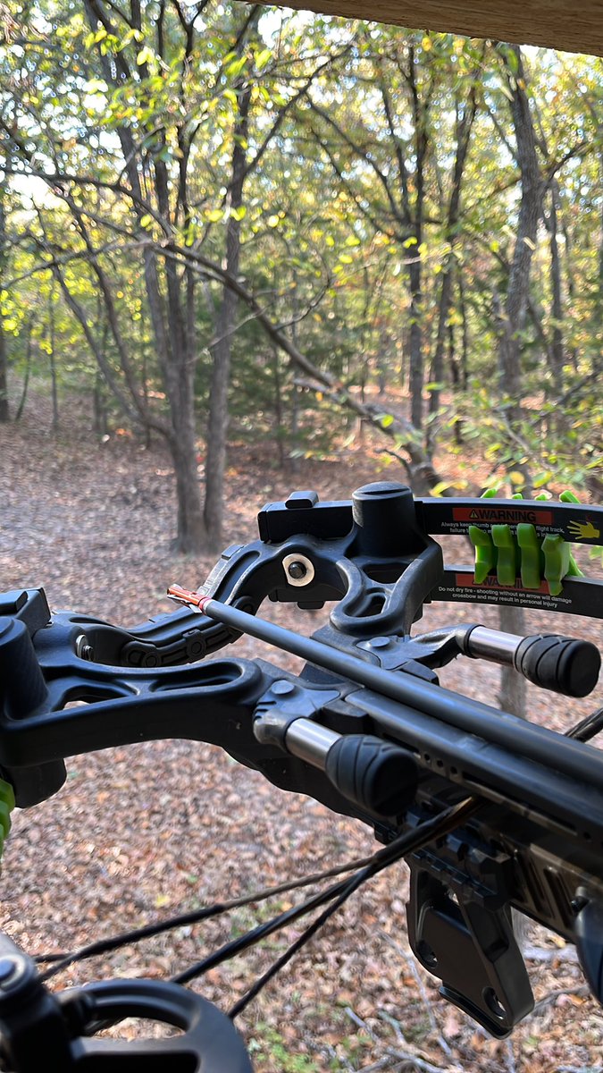 Matt Muehleisen tweet media