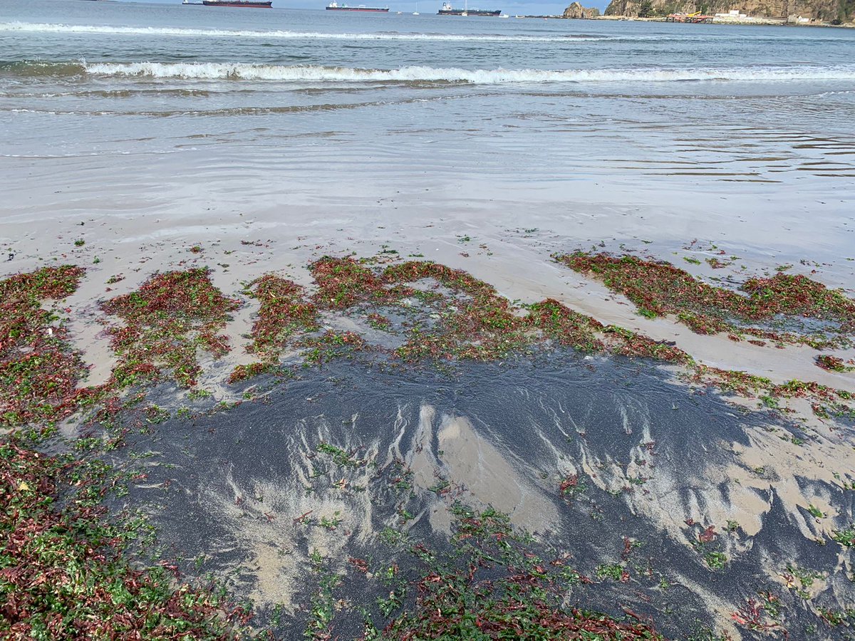 carito200481's tweet photo. Derrame de petroleo en la bahía de quintero ventanas numero 123648273829183737292918373728292727282837738282728
Gracias por darle retuit ! https://t.co/nHkyARWBvq