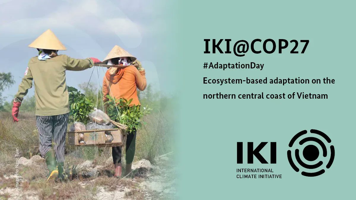 iki_germany's tweet image. #AdaptationDay at #COP27! Find out about the work of IKI´s project on #Ecosystembasedadaptation on the northern central coast of Vietnam ➡️  international-climate-initiative.com/PROJECT1649-1  
#eba #biodiversity
