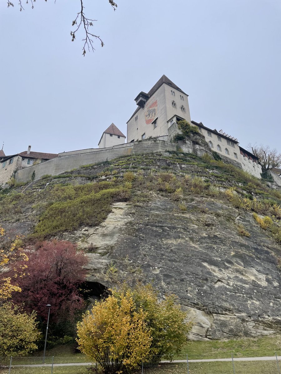 Marco Maffioletti tweet media