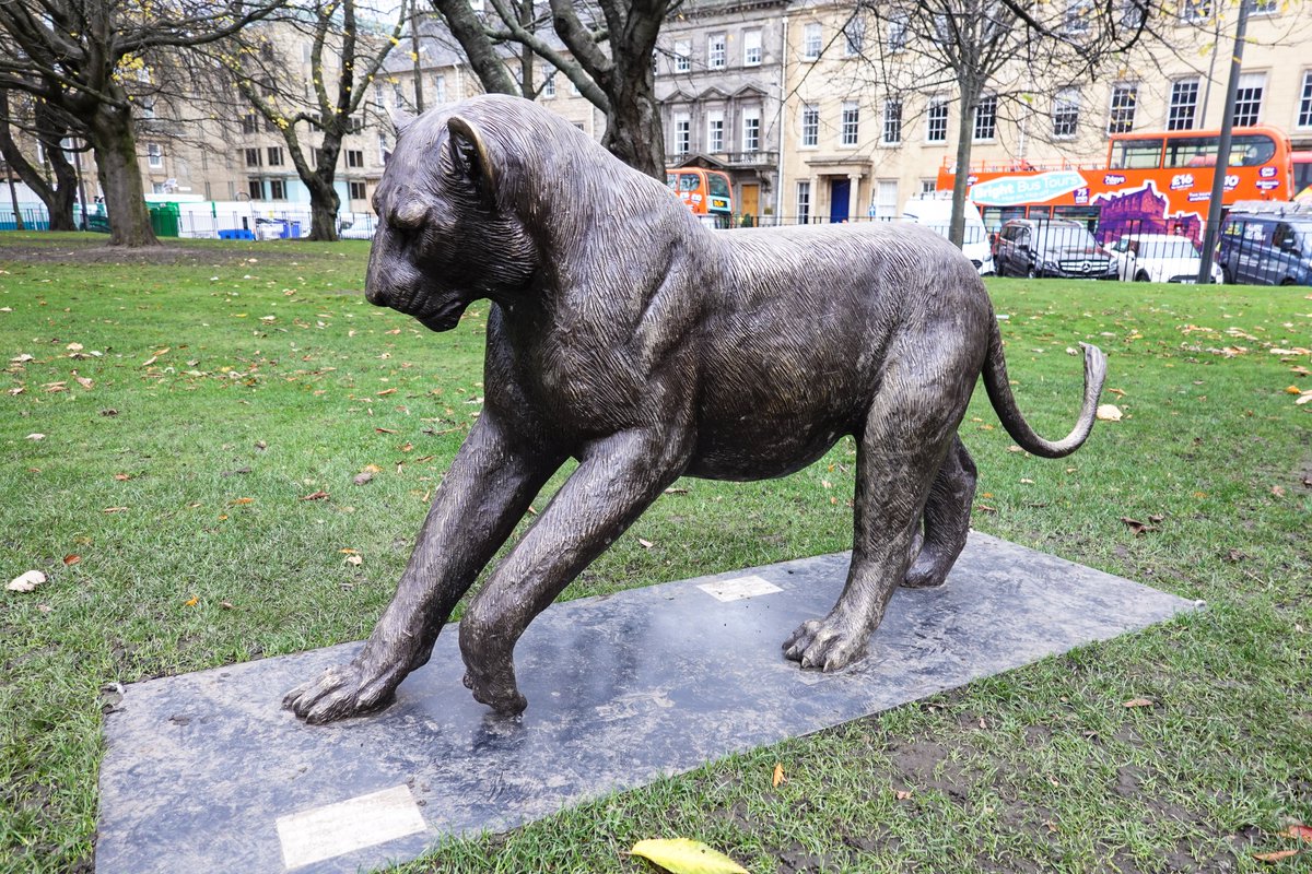 PhotoGoku's tweet photo. #BornFree #Lions at #StAndrewSquare #Edinburgh #November2022 #edinphoto https://t.co/MS22raXroF