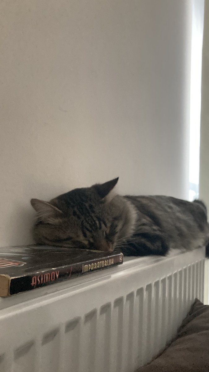 Kış gelince kalorifer yatak olurmuş