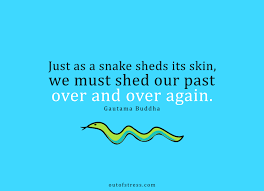Just as a snake sheds its skin, we must shed our past over and over again. Just as a snake sheds its skin, we must shed our past over and over again. This simple, but profound, phrase is attributed to Siddartha Guatama, who was born in India around 500 BCE and later became known as the Buddha, or the “Enlightened One.”
