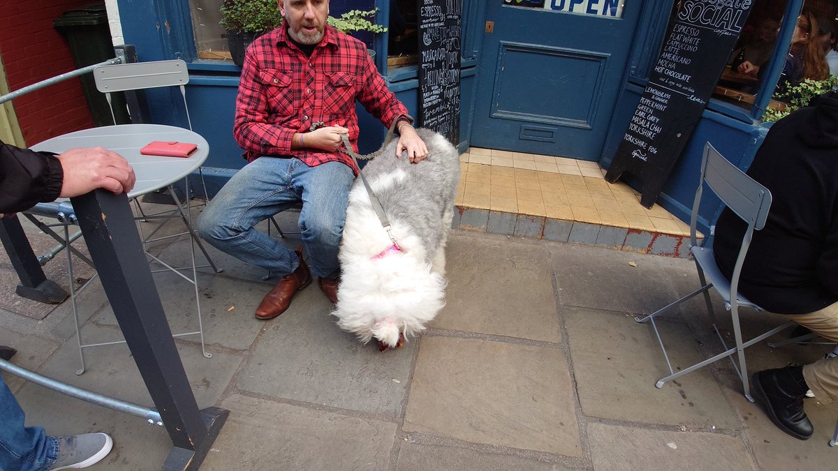 davedavemalt's tweet photo. We met Marther with @hugzee https://t.co/hJibNbSLLV