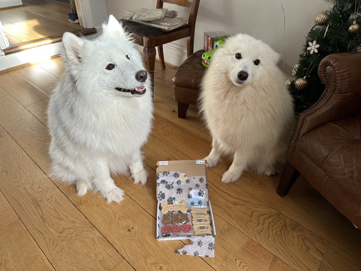 Sophie Hudson tweet media