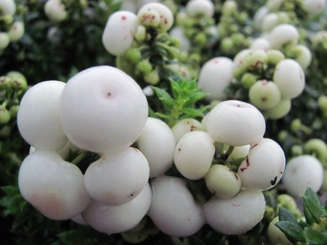 Retweet als je nog weet waar deze voor gebruikt werden