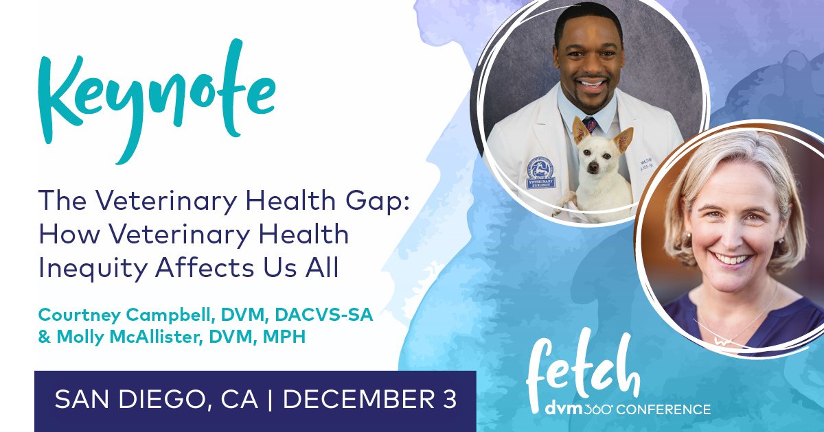 fetchdvm360's tweet image. dvm360® is thrilled to have these 5 CAT-astic keynote speakers for Fetch San Diego! From ultrasounds to different POVs in the profession to the veterinary health gaps, these are sessions YOU don’t want to miss! 
Register now: ow.ly/PVNP50LBwPk