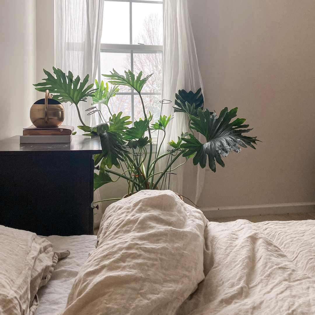 Sink into someplace comforting. Rest your weary body. Rest is skincare.

#insideouterbeauty #wherebeautyrunsdeep #beautyrunsdeep #restisskincare #restisselfcare #cleanbeauty #sleep #