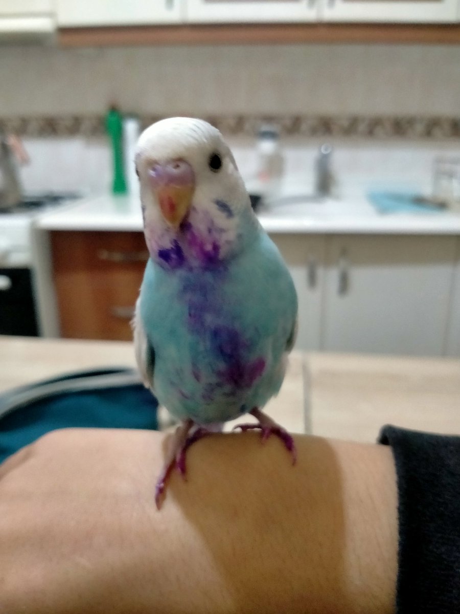 Biri ben diğeri oğluşum