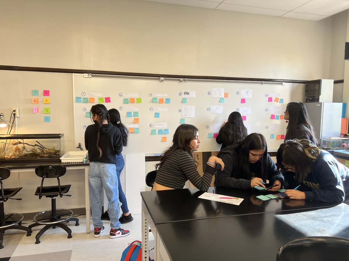 MrArsenie's tweet photo. More review for my @CarlSchurzHS #dpbio students ahead of their Topic 4 Exam next week! Tried something completely new and went well! https://t.co/fu2faQLqbN
