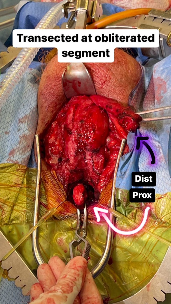 David Abramowitz tweet media