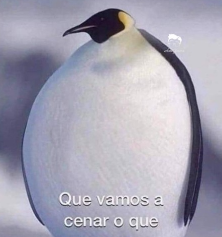 Yo después de comer 6 veces al día