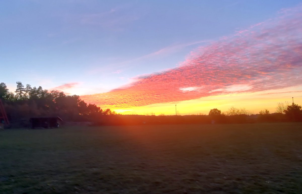 peac4love's tweet photo. 💐🍸🍷🎶🌈🌅#hamburg today🌆🌇🌙#GoodEvening Friends!🌖🍂🌄#Sunset in #Vögelsen🍁🎨☮peace☮✨love💖✨ #NoWar !🌎🌳 https://t.co/IvMMmTr9sH