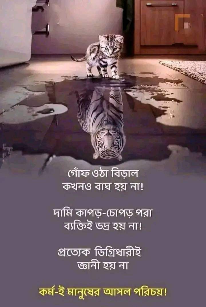 RuposhA's tweet photo. 🙀🙀🙀 https://t.co/yf4tBxEFFY
