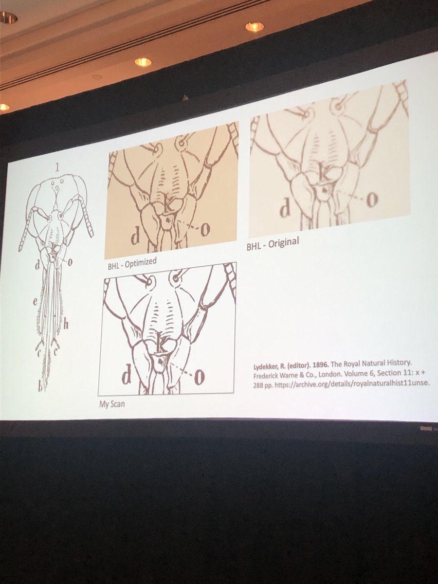 Mike Ferro now on “Libraries old and new” 📚

We all want publications to be accessible digitally but moving from print to digital has its risks - in scanning old papers detail can be lost. Mike likens print-born documents to holotypes. 

Care must be taken! #ECN2022